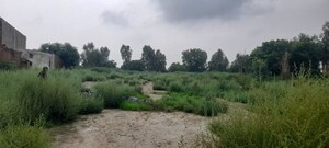Plot Area in  Land at Bhagpur – for Sale