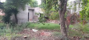 Plot Area in  Land at Bhagpur – for Sale