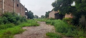 Plot Area in  Land at Bhagpur – for Sale
