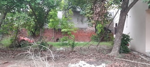Plot Area in  Land at Bhagpur – for Sale