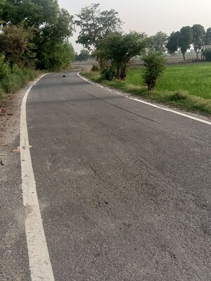  Land For Sale in Jhinjhana