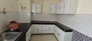 Kitchen in 3 BHK Apartment at Sector 63 – for Rent