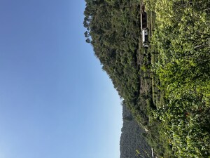  Plot For Sale in Dolanji