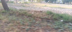 Plot Area in  Plot at Ansal  Sushant City Sonipat, Sector 61 – for Sale