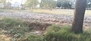 Plot Area in  Plot at Ansal  Sushant City Sonipat, Sector 61 – for Sale