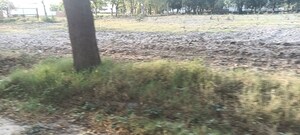 Plot Area in  Plot at Ansal  Sushant City Sonipat, Sector 61 – for Sale