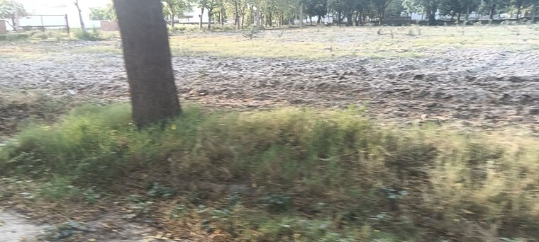 undefined, ansal-sushant-city-sonipat  261 Sq.Yd. Plot In Sector 61 Sonipat 10470545