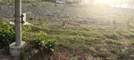 261 Sq.Yd. Plot in Ansal  Sushant City Sonipat