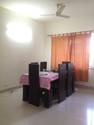 2 BHK Apartment For Rent in Amrapali Terrace Homes, Tech Zone 4 Greater Noida