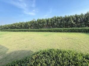 Plot Area in  Plot at Jewar – for Sale