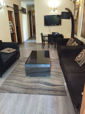 Living Room in 3 BHK Builder Floor at Chittaranjan Park – for Rent