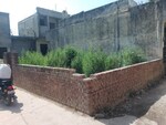 110 Sq.Yd. Plot in Sohna