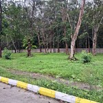 6000 Sq.Ft. Plot in Sakleshpur