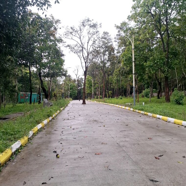 undefined, sakleshpur  6000 Sq.Ft. Plot In Sakleshpur Hassan 10438115
