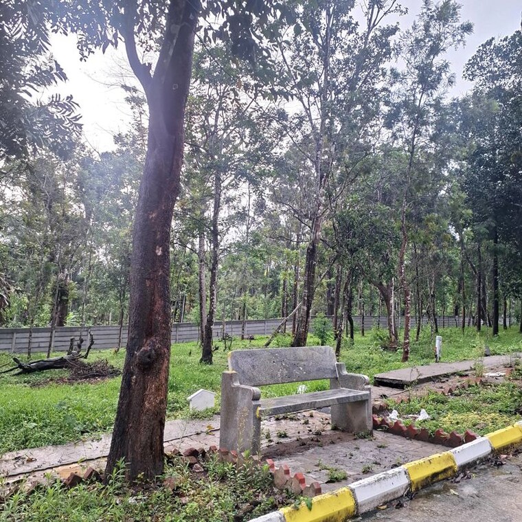 undefined, sakleshpur  6000 Sq.Ft. Plot In Sakleshpur Hassan 10438115
