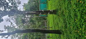 Plot Area in  Plot at Sakleshpur – for Sale