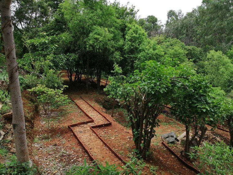 undefined, sakleshpur  6000 Sq.Ft. Plot In Sakleshpur Hassan 10438115