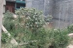 100 Sq.Yd. Plot in Raj Nagar Extension