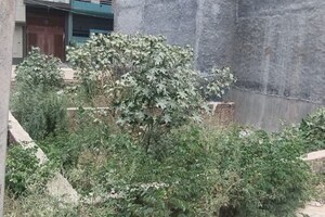  Plot For Sale in Raj Nagar Extension
