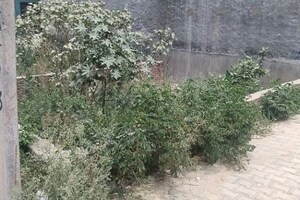 Plot Area in  Plot at Raj Nagar Extension – for Sale