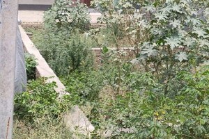 Plot Area in  Plot at Raj Nagar Extension – for Sale