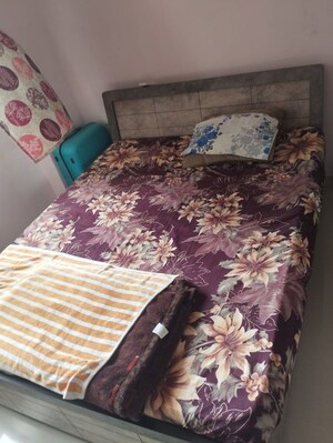 2 BHK Apartment For Rent in Adani Shantigram, Shantigram