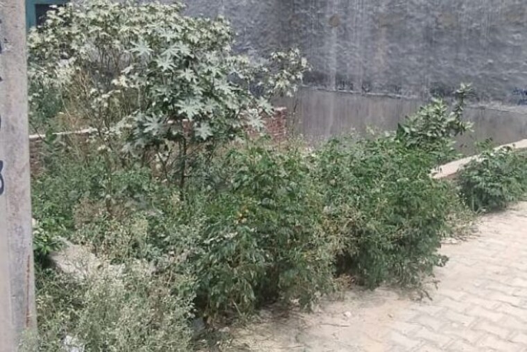 undefined, raj nagar extension  100 Sq.Yd. Plot In Raj Nagar Extension Ghaziabad 10471338