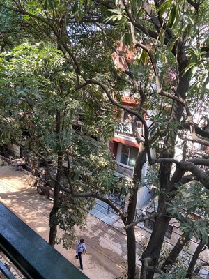 3 BHK Builder Floor – Garden View at Sarvapriya Vihar - for Rent