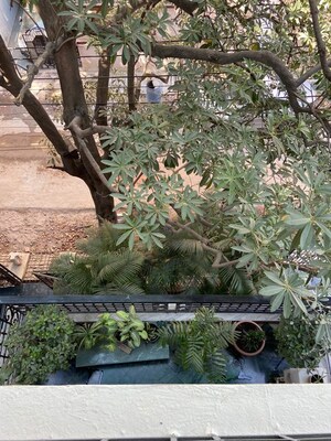 3 BHK Builder Floor – Garden View at Sarvapriya Vihar - for Rent