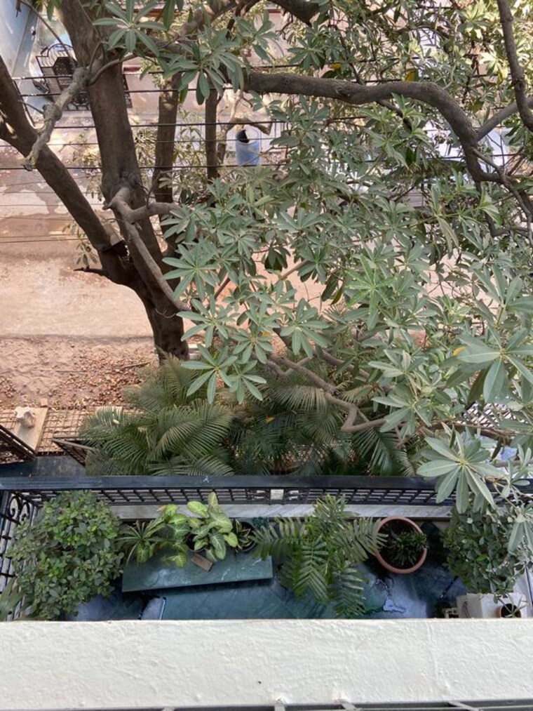 Garden, sarvapriya vihar 3 Bedroom 2000 Sq.Ft. Builder Floor In Sarvapriya Vihar Delhi 10471512