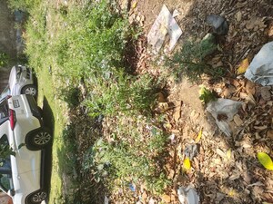 Plot Area in  Plot at Sainik Colony – for Sale