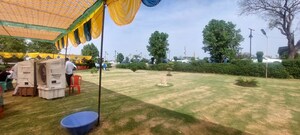 Plot Area in  Plot at Jattari – for Sale
