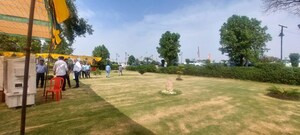  Plot For Sale in Jattari