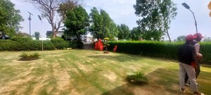 Plot Area in  Plot at Jattari – for Sale