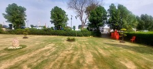 Plot Area in  Plot at Jattari – for Sale