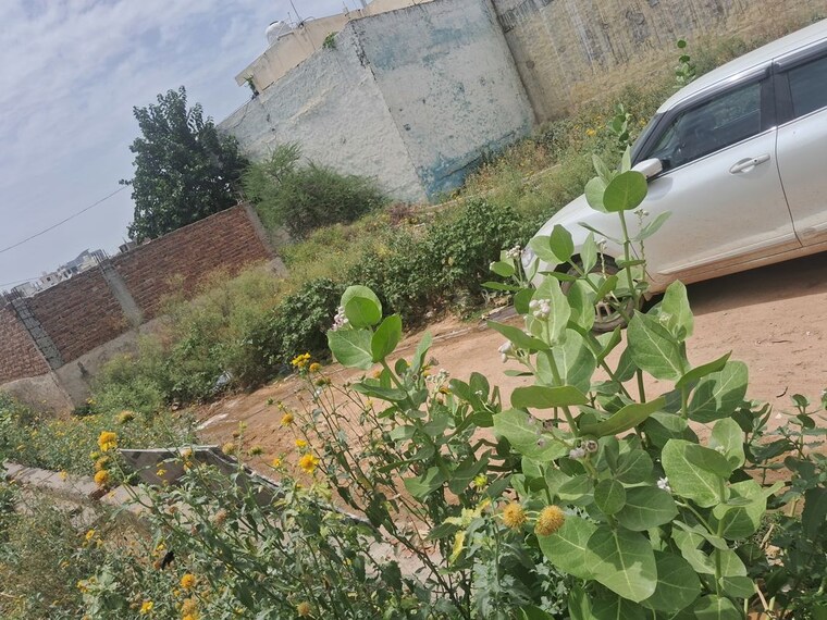 undefined, maruti kunj  100 Sq.Yd. Plot In Maruti Kunj Gurgaon 10472081