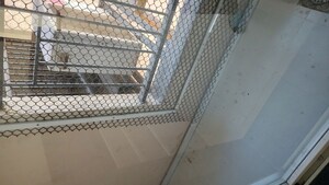 Balcony in 2 BHK Apartment at Rustomjee Azziano Wing D, Thane West – for Rent