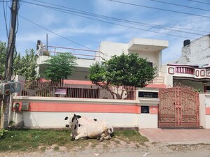 3 BHK Independent House For Sale in Sector 8