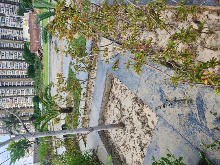 undefined, jms-the-pearl  131 Sq.Yd. Plot In Sector 95 Gurgaon 10472904