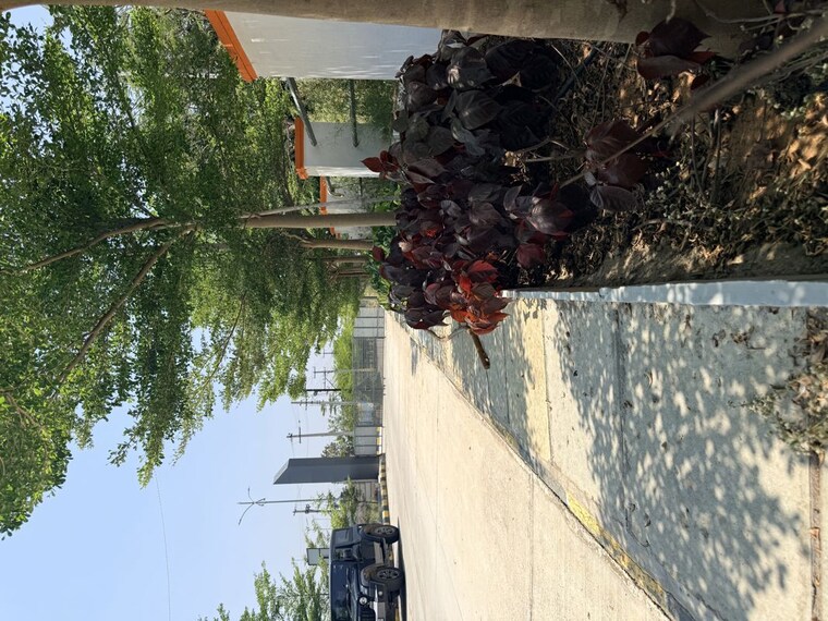 Nearby, vasudaika-henley-woods  250 Sq.Yd. Plot In Nagreddipalli Hyderabad 10473074