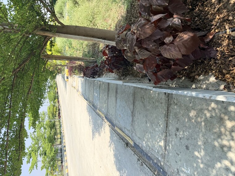 undefined, vasudaika-henley-woods  250 Sq.Yd. Plot In Nagreddipalli Hyderabad 10473074