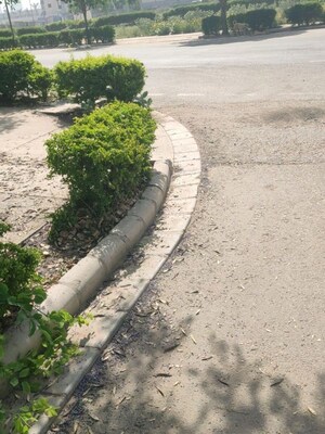 Plot Area in  Plot at Vatika Gurgaon Next Plots, Sector 82 – for Sale