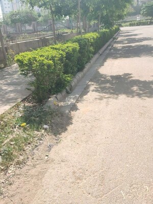 Plot Area in  Plot at Vatika Gurgaon Next Plots, Sector 82 – for Sale