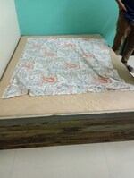1 BHK + Study Room 395 Sq.Ft. Apartment in Sandesh Nagar