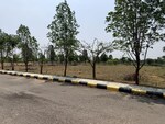 240 Sq.Yd. Plot in CBC Cosmopolis
