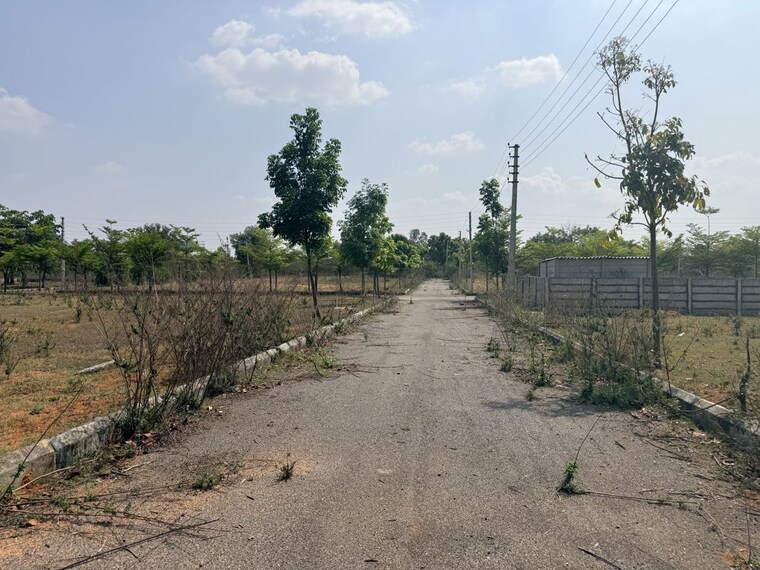 Exterior View, baghmankhal  200 Sq.Yd. Plot In Baghmankhal Hyderabad 10474454
