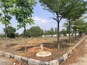  Plot – Garden View at Baghmankhal - for Sale
