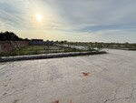 150 Sq.Yd. Plot in Jewar