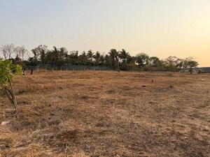 Plot Area in  Plot at Khambale – for Sale
