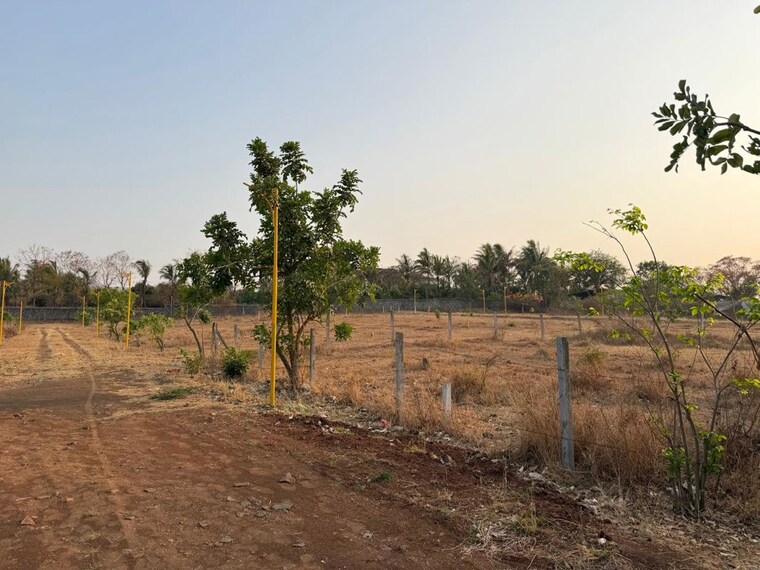 undefined, khambale  2340 Sq.Ft. Plot In Khambale Nashik 10474635